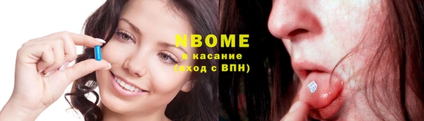 стаф Аркадак