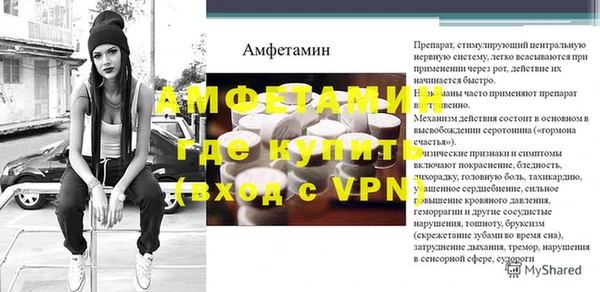 стаф Аркадак