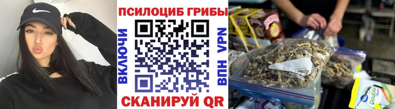 Псилоцибиновые грибы мухоморы  где купить наркотик  Макарьев 